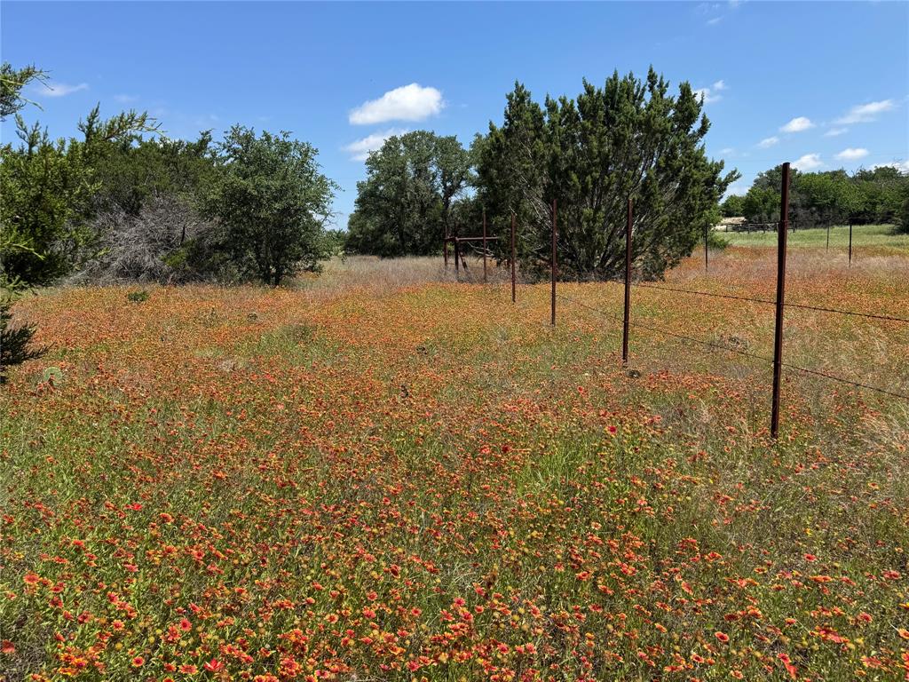 - - Land
