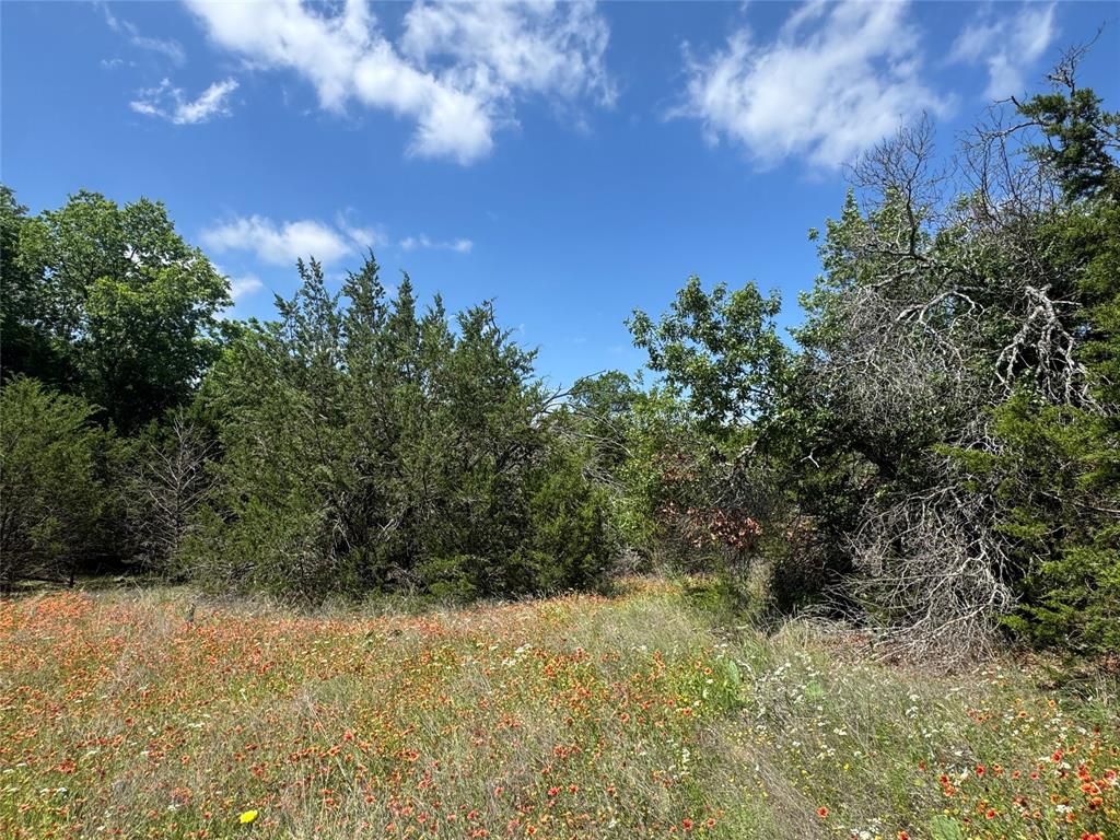 - - Land