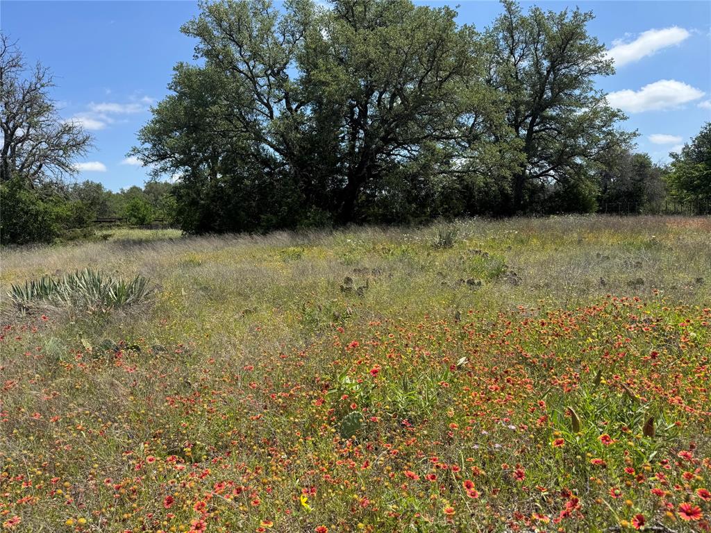 - - Land