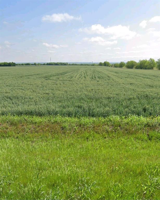 This 191.3 acres is perfect for most developments or investments including Master Planned Community, Data Centers, Office Park, Entertainment venues, industrial, apartment communities, retail, commercial, etc. Over 2,600 feet of frontage. Undeveloped in Unincorporated area. Grand Prairie EJT.  Private Road splits land from FM 157 to east end of property. Entrance is from FM 157. Three high transmission towers run on other side of eastern fence. Major TXDOT projects in area to ease the massive influx of people from Mansfield to Midlothian and Venus include the 2 Billion plus Southeast Connector that travels south on Hwy 287. widening FM 157 from 2 lane rural to 4 land Urban. Multiple developments in progress including Googles billion dollars plus Data Center on border of Venus and Midlothian on Hwy 67. Six Major Highways. Easy trip to Dallas, Fort Worth and DFW airport.