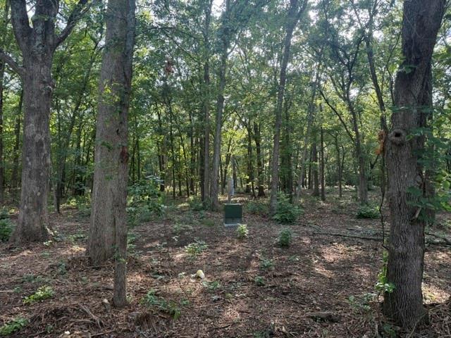 Hard to find 10 acres wooded with utilities at the front of the property. Just off SH-82 on private all weather road. Ready for your dream home. Barndos welcome. Highly sought after Prairiland ISD. 5.7 miles from Walmart. Wont last long at this price.