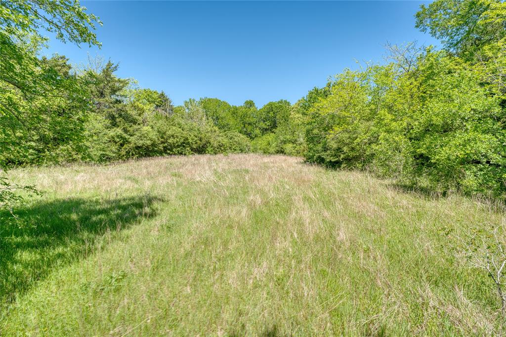 PEITYN PLACE - Land