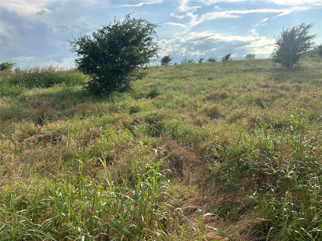 Bear Creek Estates - Land