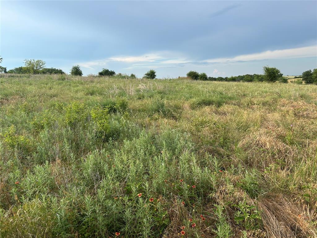 Bear Creek Estates - Land