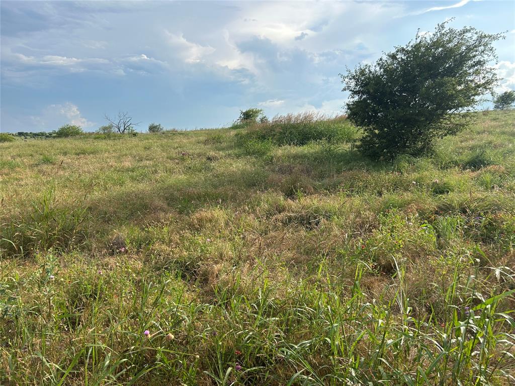 Bear Creek Estates - Land