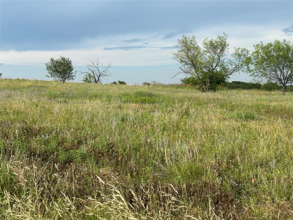 Bear Creek Estates - Land