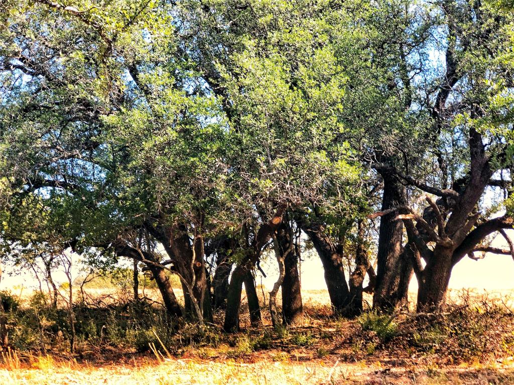 Ranches at Deer Crossing - Land