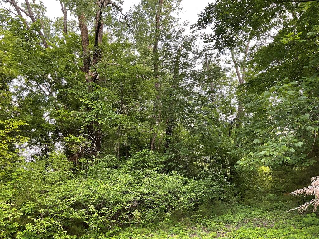 Twin Creeks - Residential