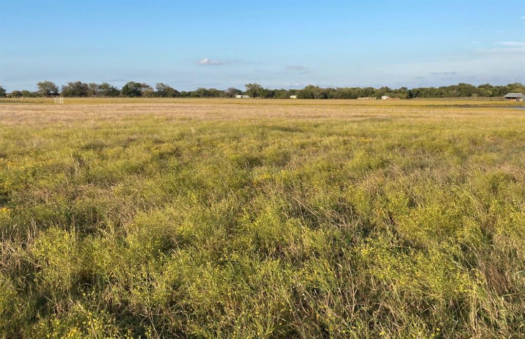 G-1298 WEEKS JOHN A-G1298, ACRES 24.067 - Farm