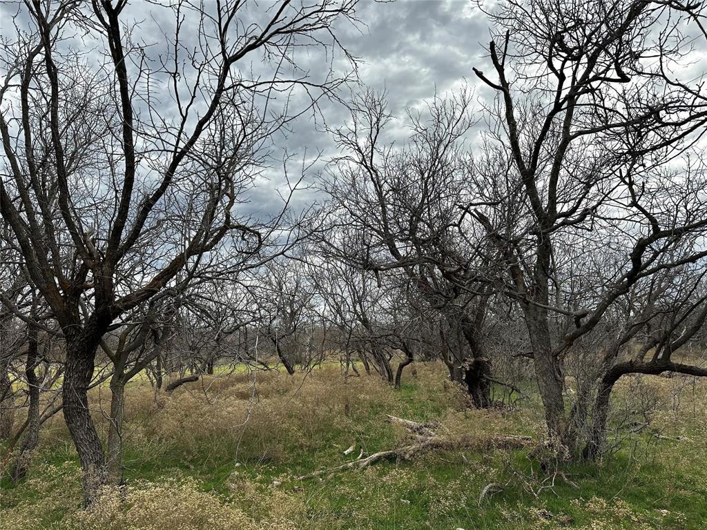 This approximately 13-acre tract (to be surveyed from a larger parcel) offers a great mix of open pasture and scattered trees, making it a versatile and scenic piece of land. Located just about 15 minutes from Abilene, it provides the quiet feel of the countryside while still being close to town for everyday conveniences.  The property features rolling open ground, mesquite groves, and a small creek draw that adds to its natural charm and character. With fertile soil, regular rainfall, and plenty of sunlight, the land is well suited for livestock, food plots for wildlife, or small-scale farming.
Whether you’re looking to build a permanent home or a weekend retreat, this property offers a peaceful setting with water and electricity available at the road. Additional acreage is available for those wanting more room to spread out. Deer, turkey, quail and dove can be seen traversing the property.
Light deed restrictions are in place to help protect your investment. Buyer to verify schools and utilities. This is a great opportunity to enjoy wide-open spaces, fresh air, and a true country lifestyle—your own slice of Texas land waiting to be enjoyed.