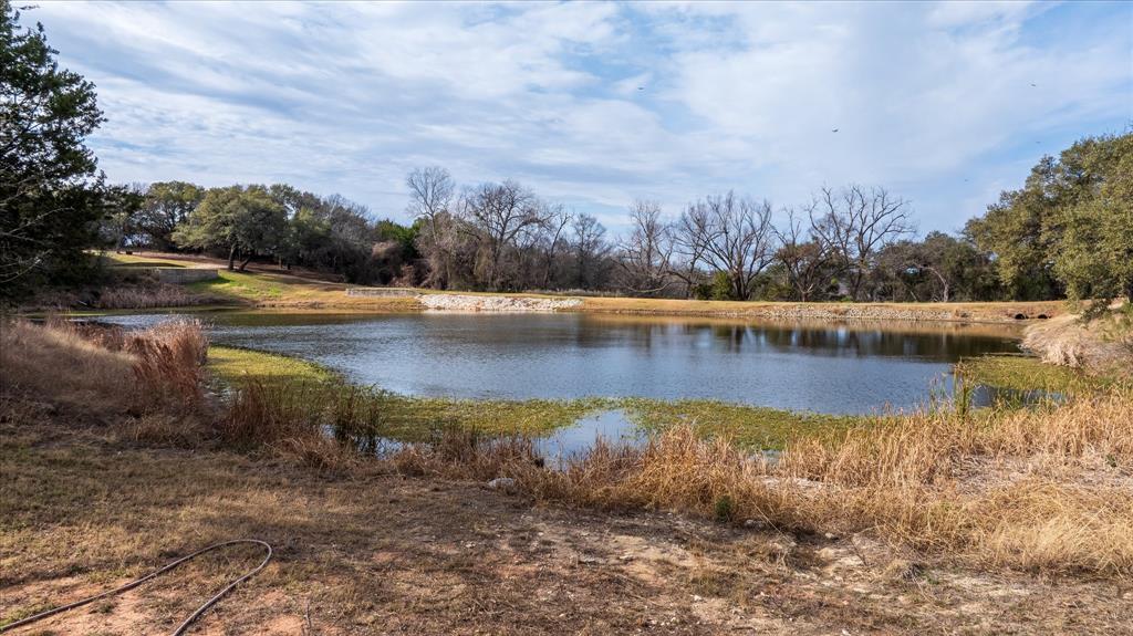 Pecan Plantation - Land