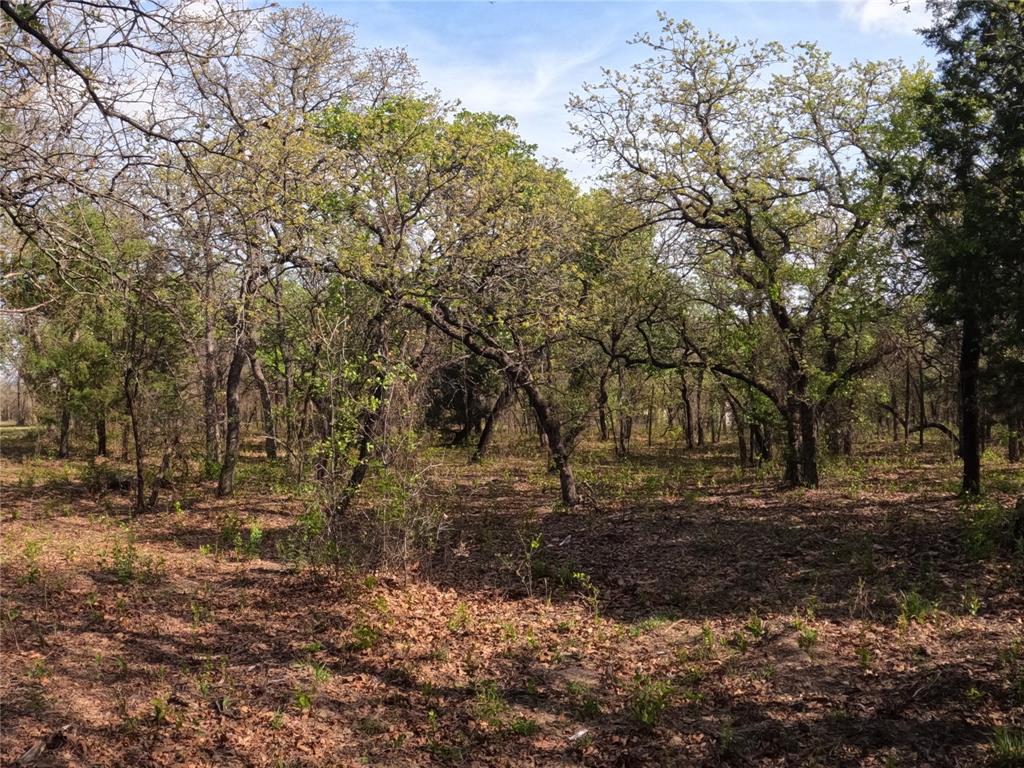 Bella Oaks Add Ph 2 - Land