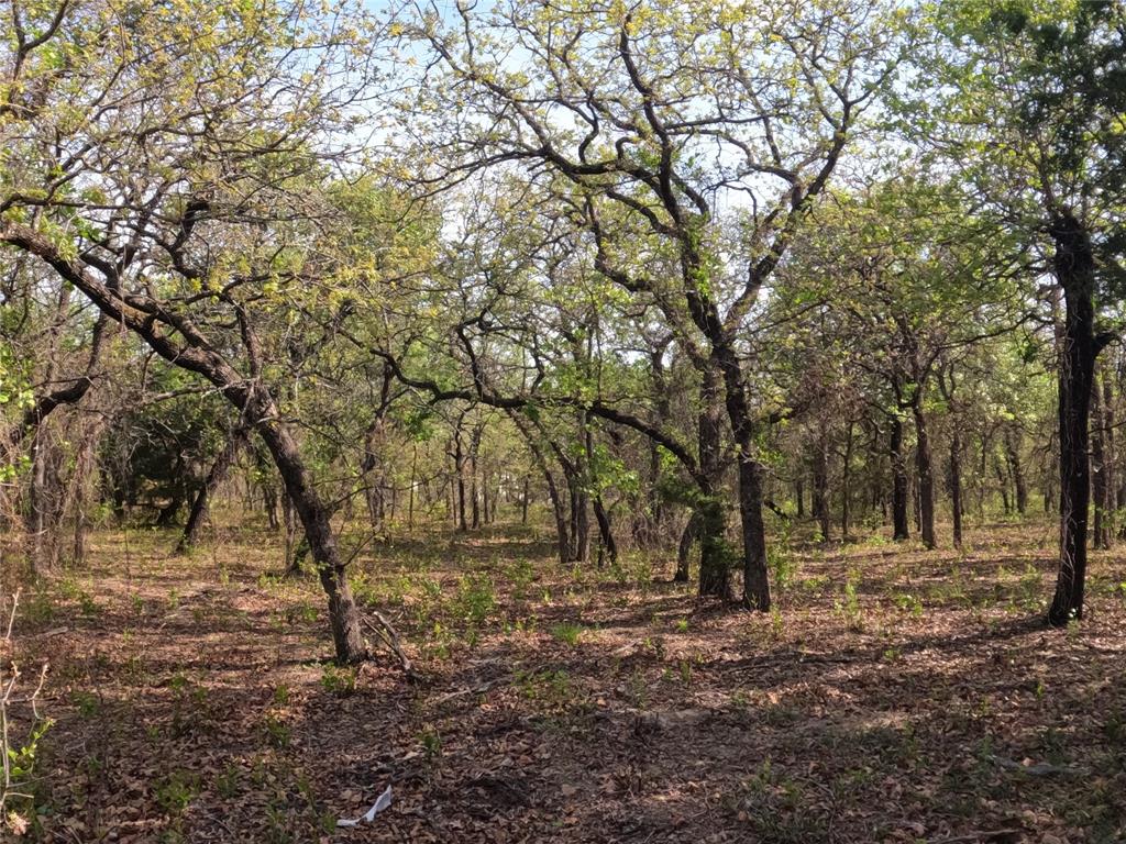 Bella Oaks Add Ph 2 - Land