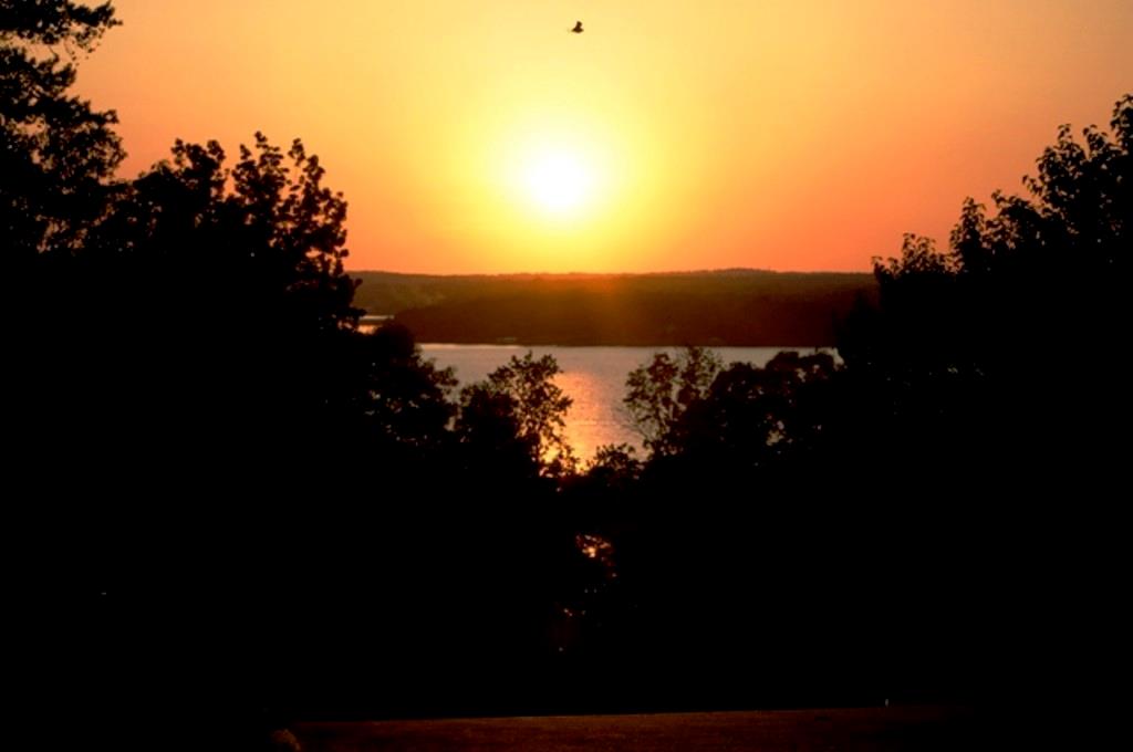 Eagles Bluff - Land