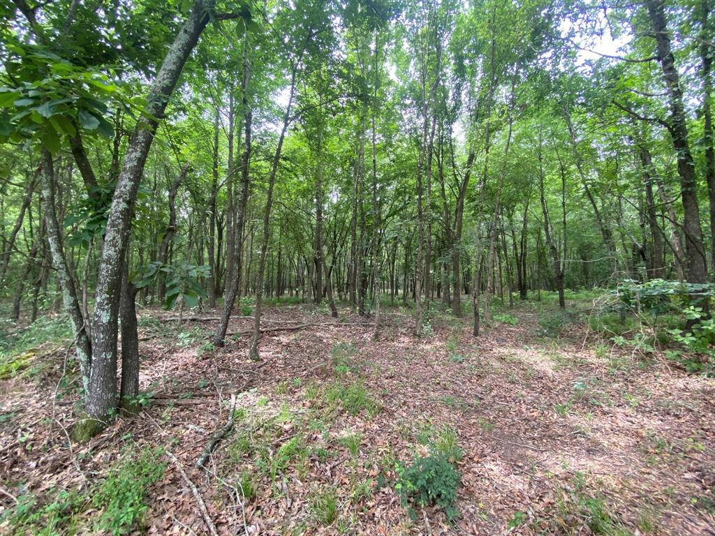 Discover the perfect blend of privacy, natural beauty, and country charm with this exceptional 8.5-acre wooded corner tract. Surrounded
by mature trees and offering a peaceful rural setting, this property provides the ideal opportunity to build your dream home, weekend
retreat, or investment property. With its desirable corner location, the tract offers added accessibility and flexibility for future use while still
maintaining the tranquility of country living. Whether you’re looking for a private homesite or a place to enjoy the outdoors, this beautiful
property is full of potentia