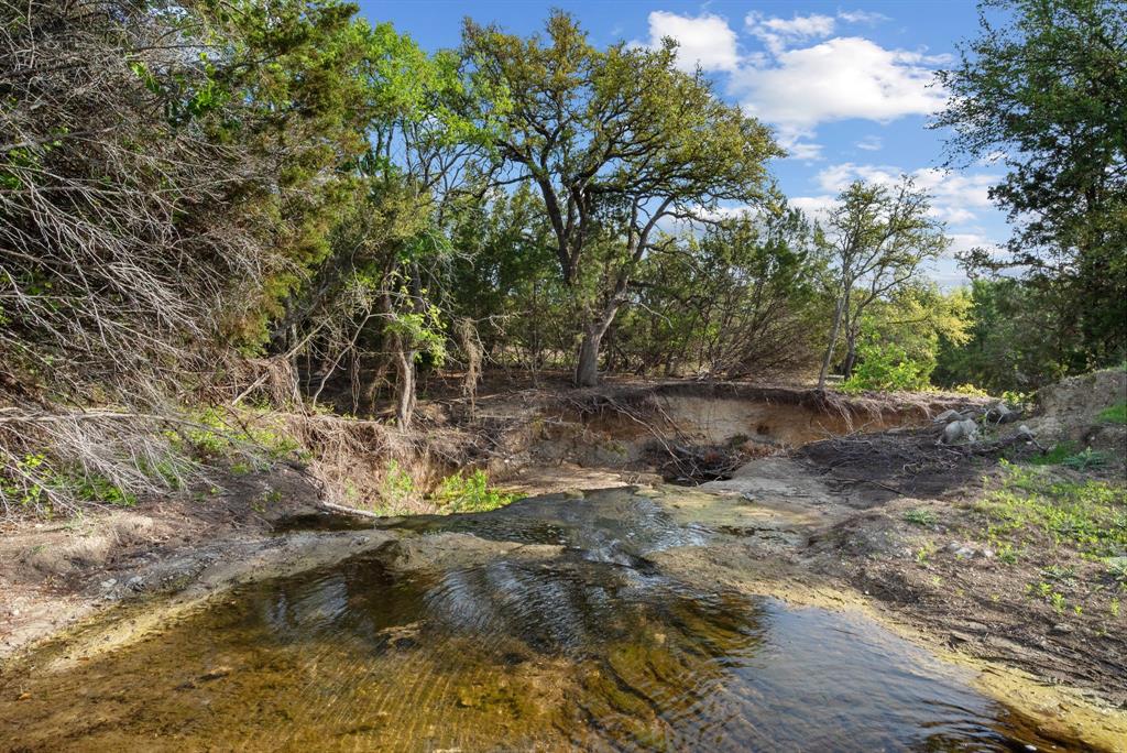 Spring Creek - Farm