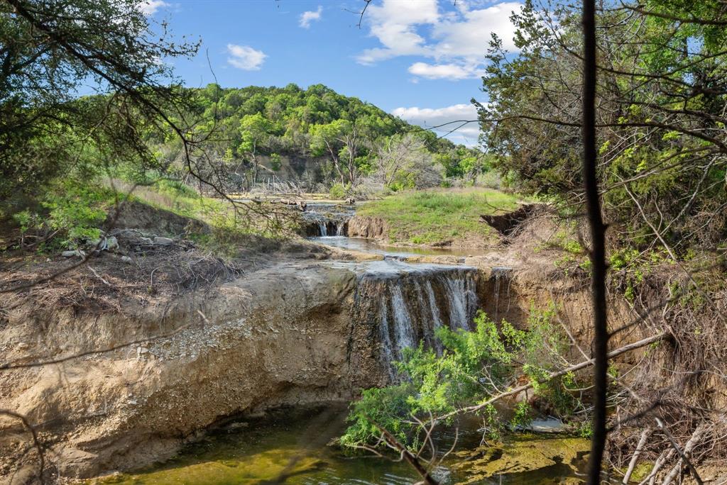 Spring Creek - Farm