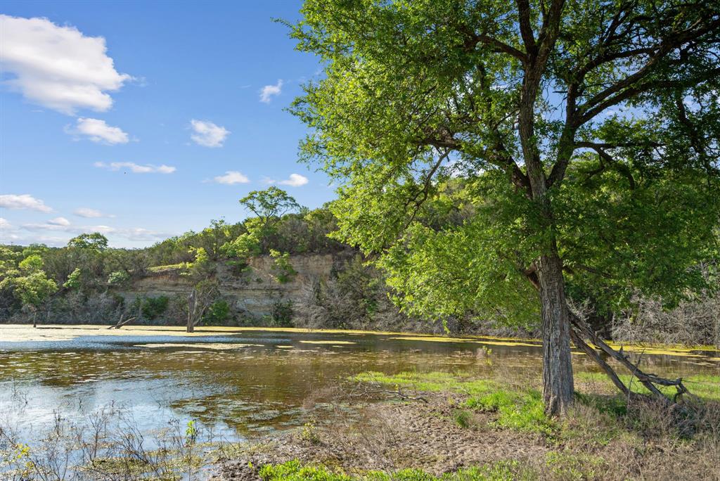 Spring Creek - Farm