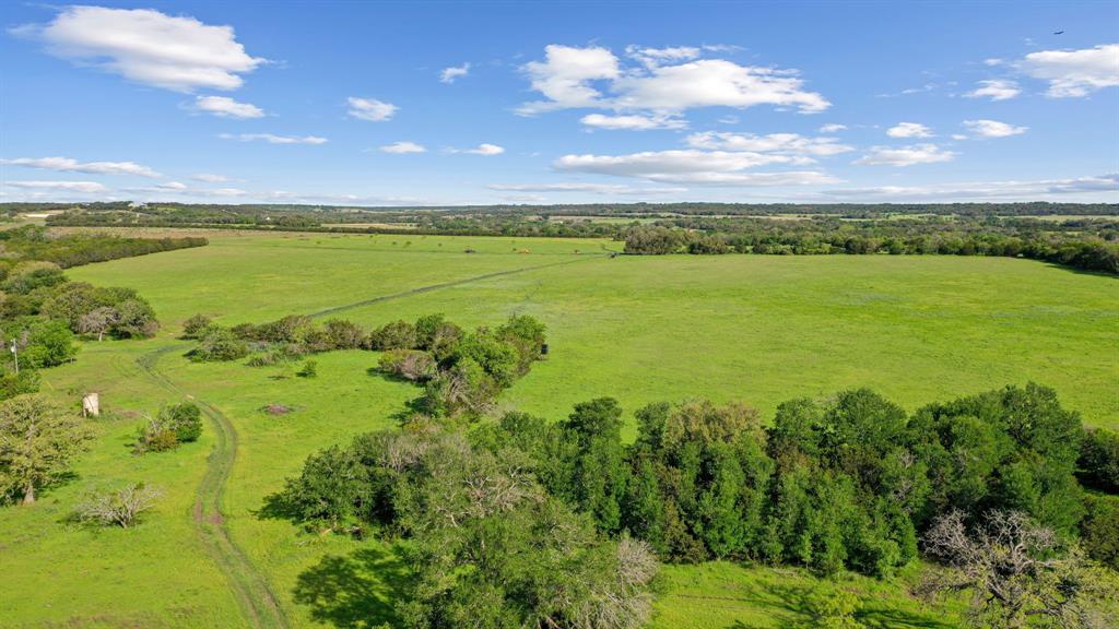 Spring Creek - Farm
