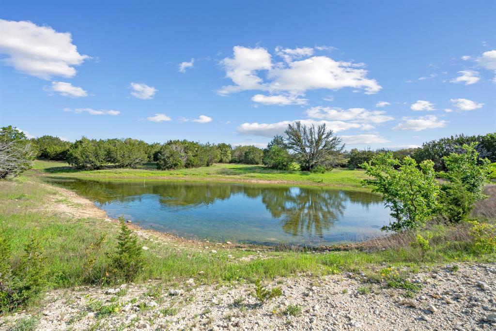Spring Creek - Farm