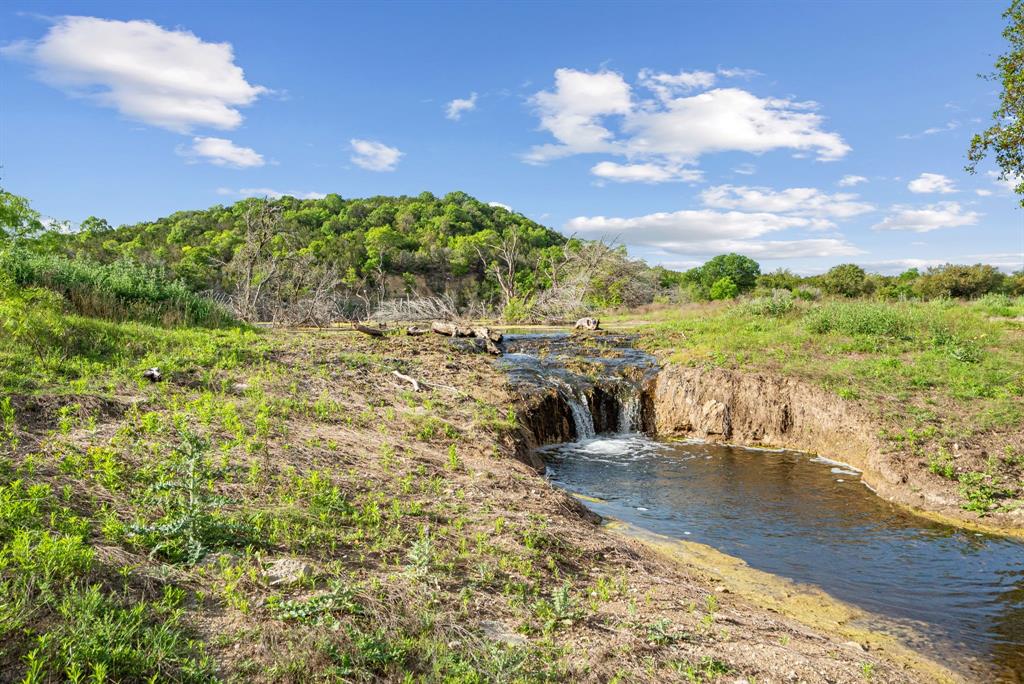 Spring Creek - Farm