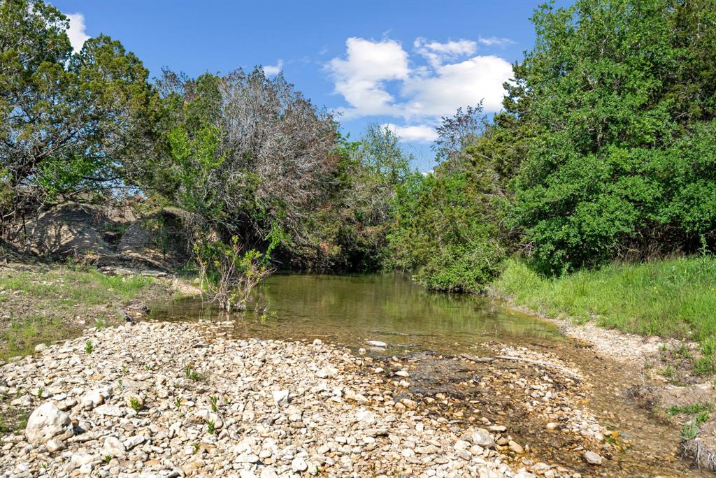 Spring Creek - Farm
