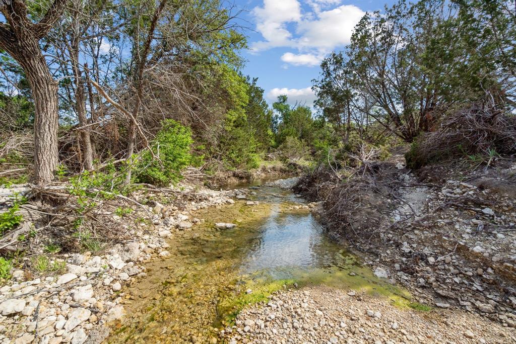 Spring Creek - Farm