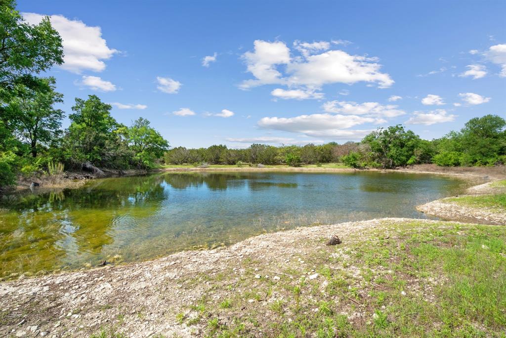 Spring Creek - Farm