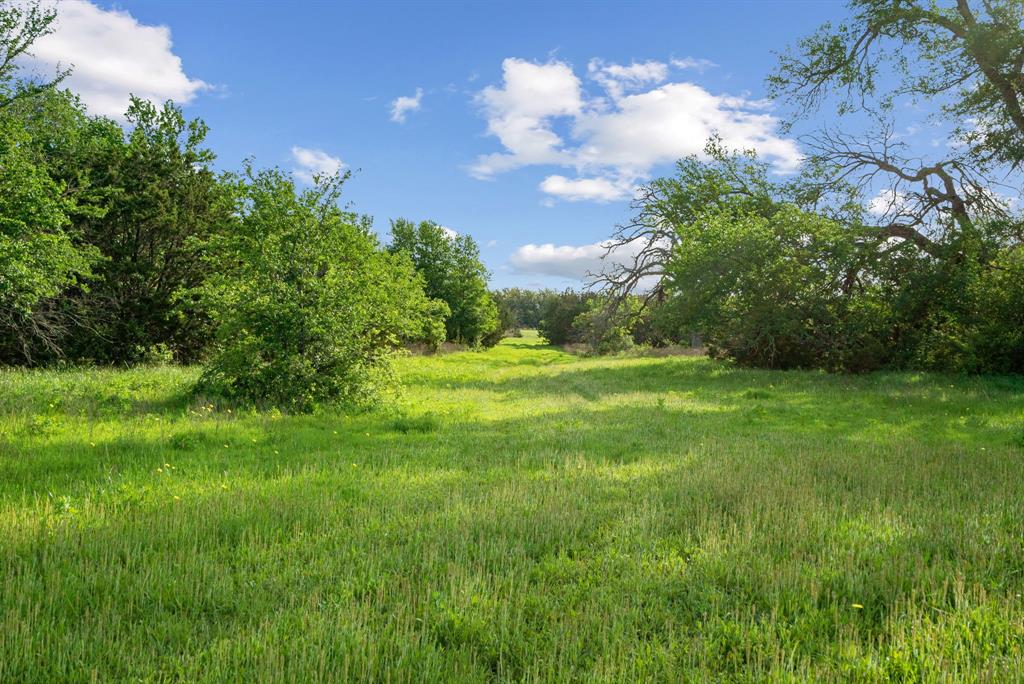 Spring Creek - Farm