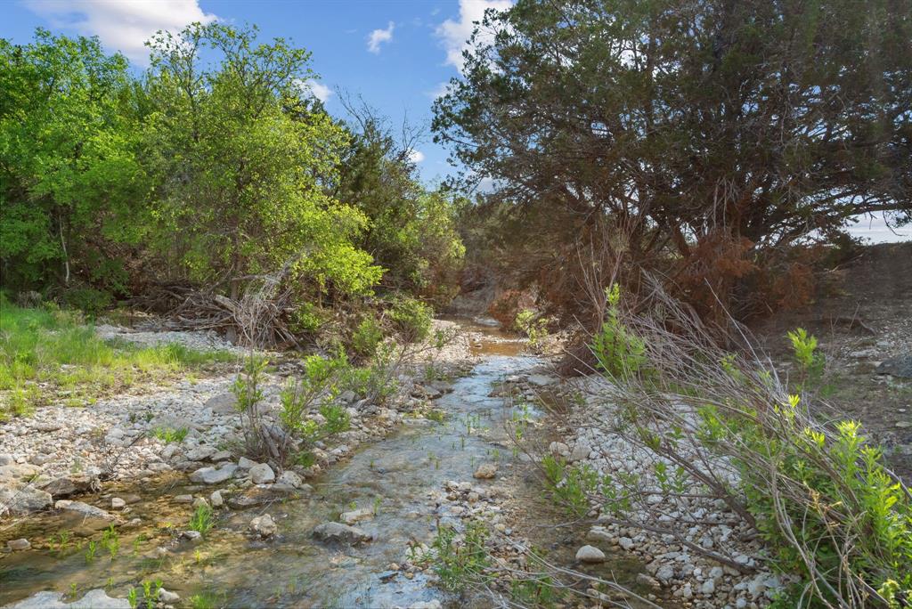 Spring Creek - Farm