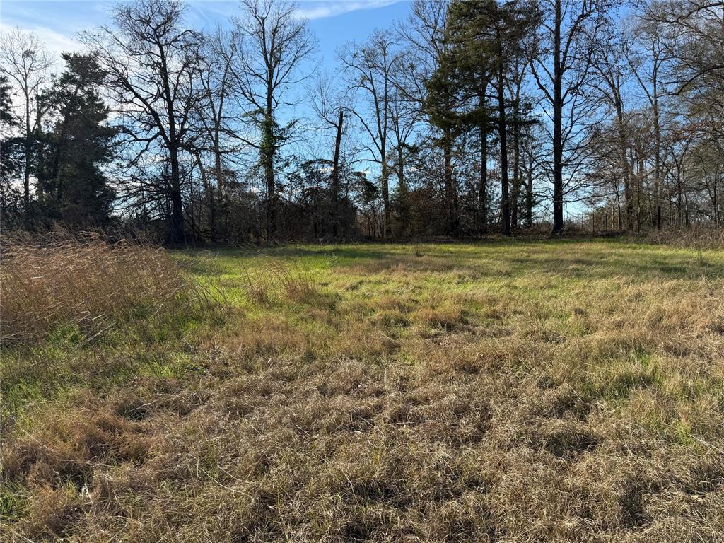 Blue Ridge Estates - Land