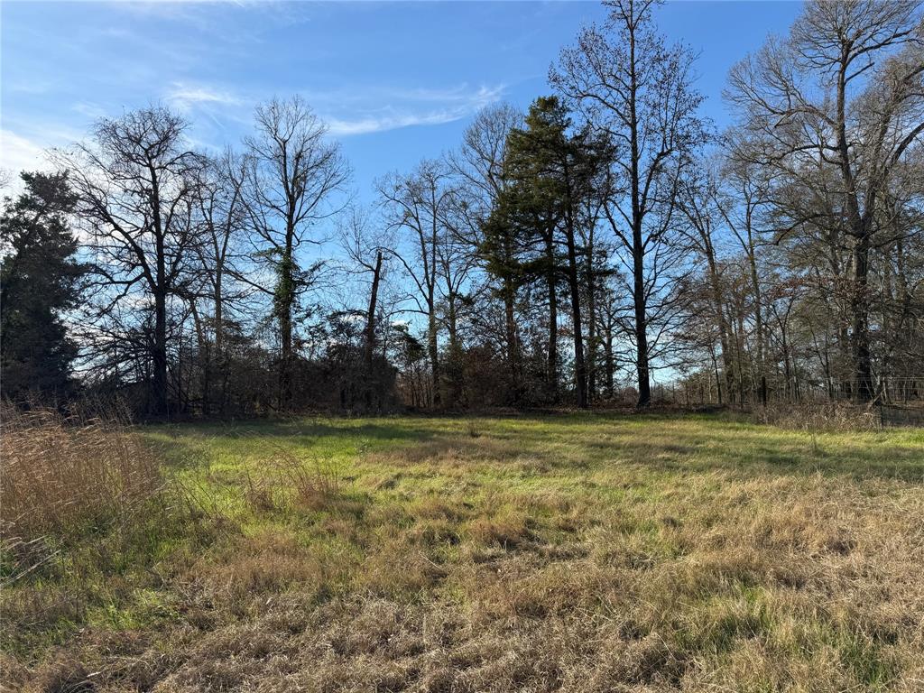 Blue Ridge Estates - Land