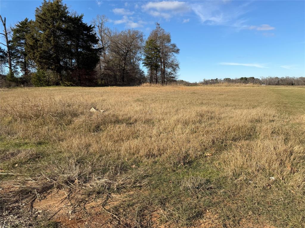 Blue Ridge Estates - Land