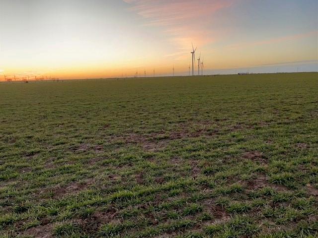 H&TC - Farm