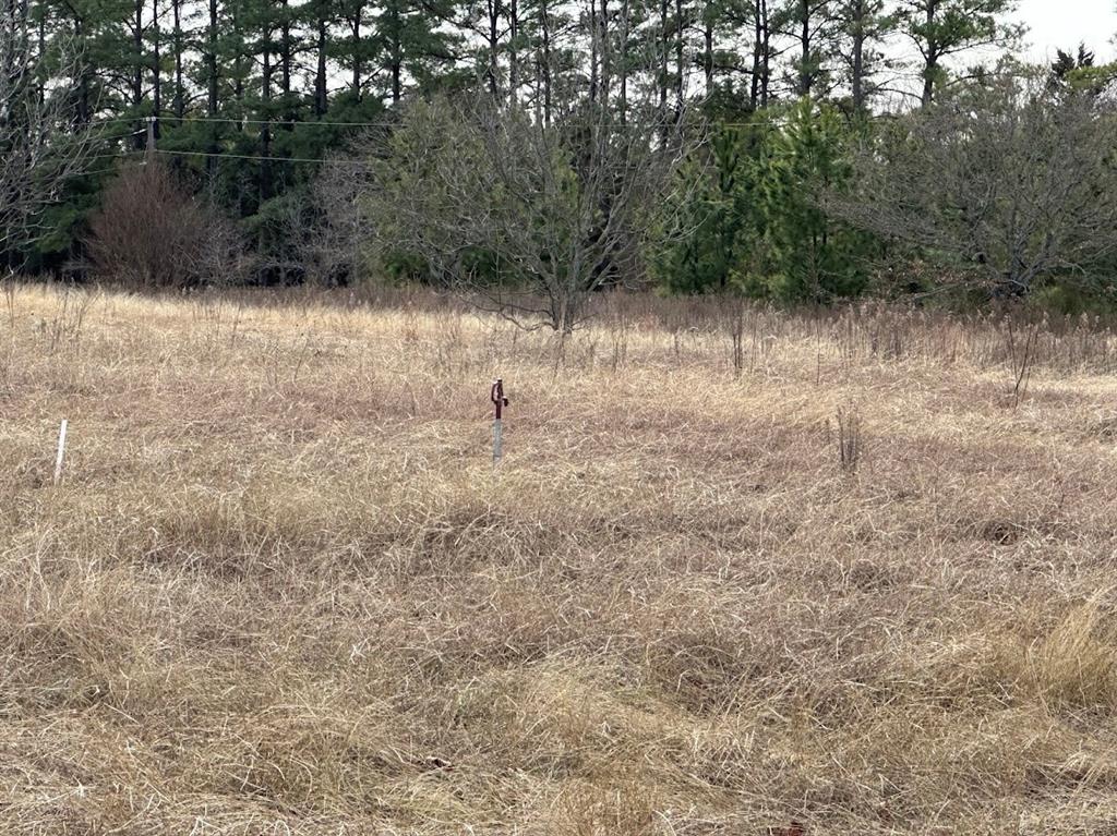 Wright Acres - Land