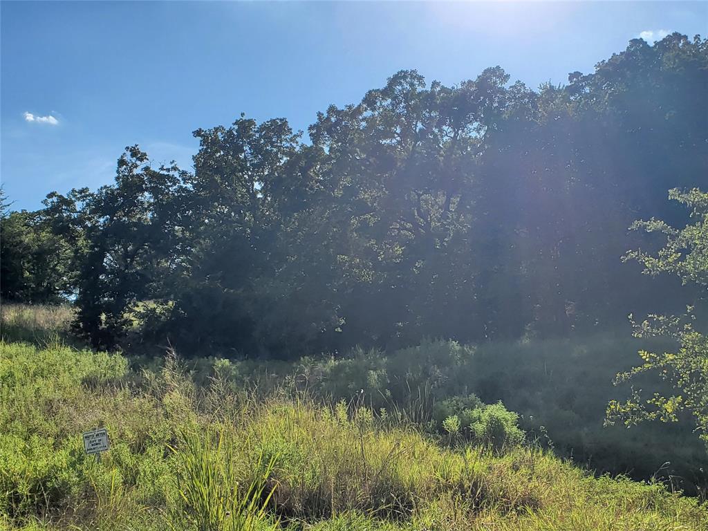 Silver Lakes Ranch - Land