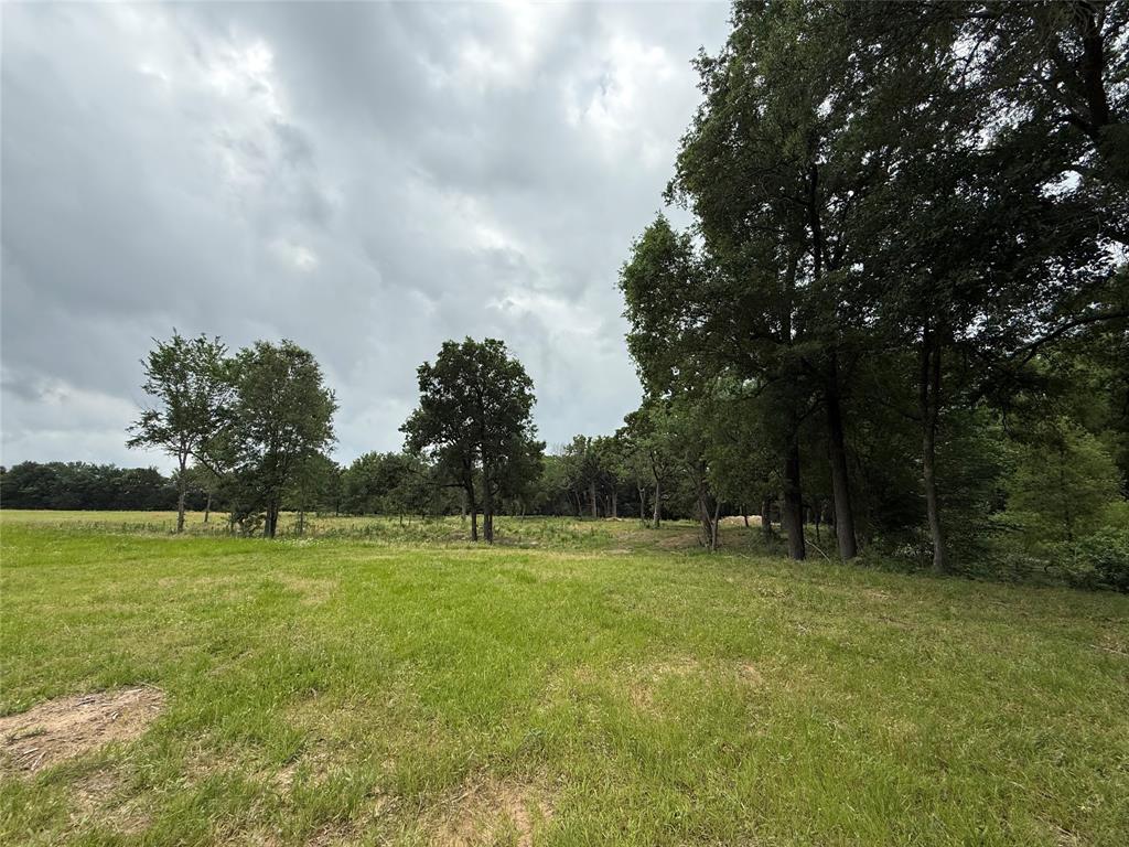 Build your dream home on the hilltop of this beautiful almost two acre tract located within the highly sought after Edgewood ISD and inside city limits, offering the perfect blend of peaceful country atmosphere with the convenience of town just minutes away! WALKING DISTANCE TO DOWNTOWN! This scenic property features gorgeous mature trees lining the front of the land creating privacy and a welcoming entrance, while the back opens into a spacious field that would make a stunning homesite with plenty of room to spread out and enjoy the views! With city water, electric, and other city service benefits, this property offers the rare opportunity to enjoy acreage living without sacrificing convenience. Whether you’re looking to build your forever home, create a mini homestead, or invest in a hard to find tract in town, this property checks all the boxes. Enjoy the beauty of nature, room to roam, and the charm of small town living all in one exceptional setting!