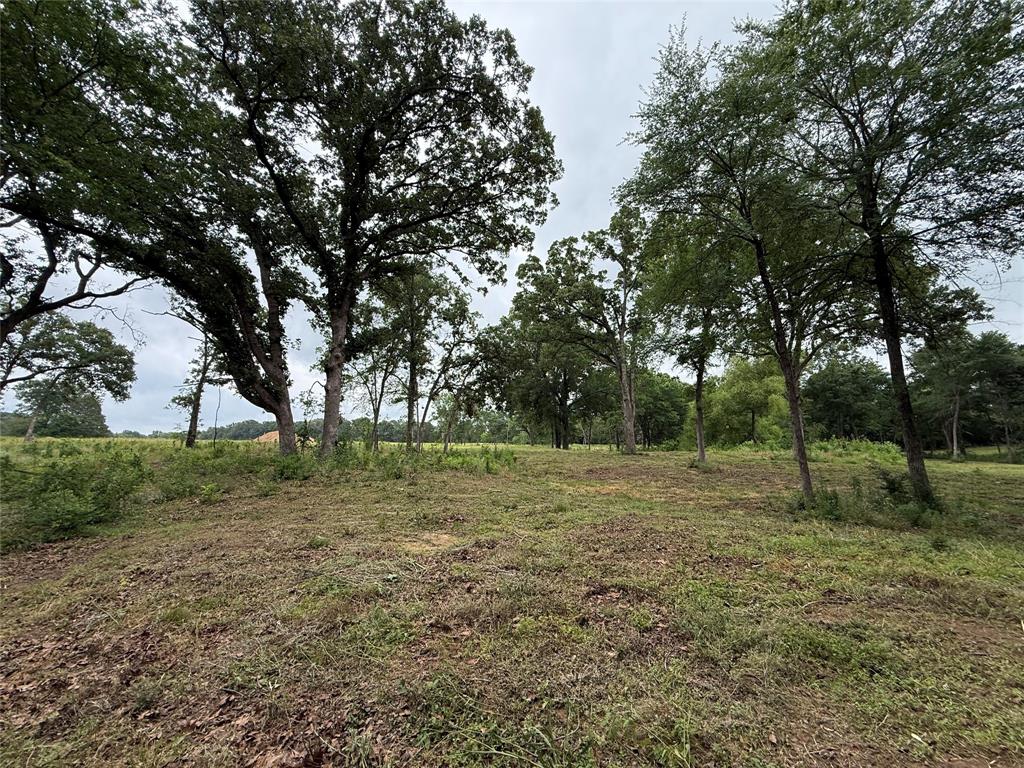 East Edgewood Village - Land