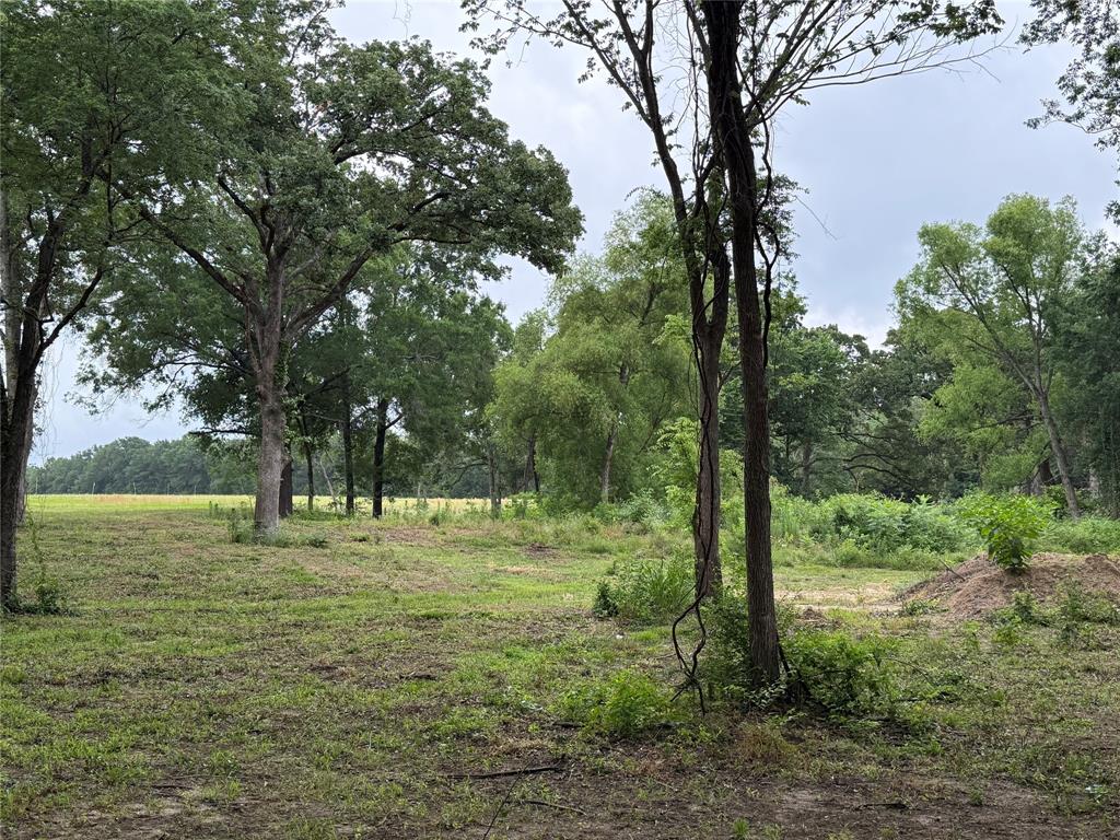 East Edgewood Village - Land