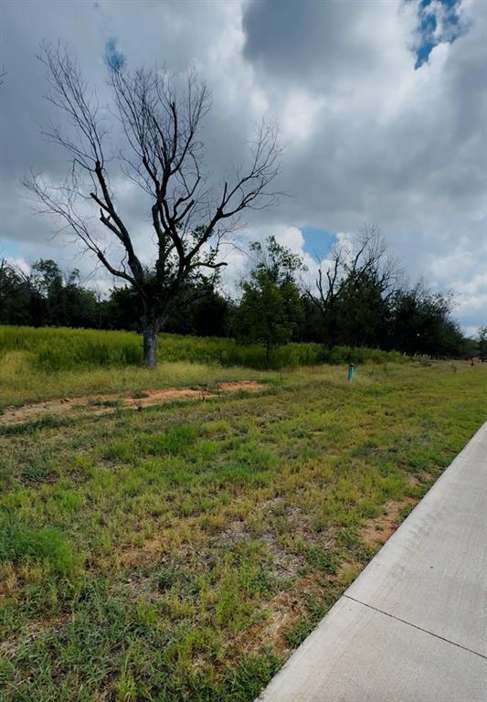 Rare 2.46-acre corner lot in the highly sought-after Pecan Plantation, The Landings East. Build your dream home with room for outdoor living, a pool, and a private hangar. Centrally located with taxiway access, perfect for aviation enthusiasts. Pecan Plantation is a premier gated, resort-style community featuring a country club, 2 golf courses, pools, tennis & pickleball courts, riverfront parks, marina on Lake Granbury, airpark access, dining, and an equestrian center. Financing options available—don’t miss this exceptional opportunity.