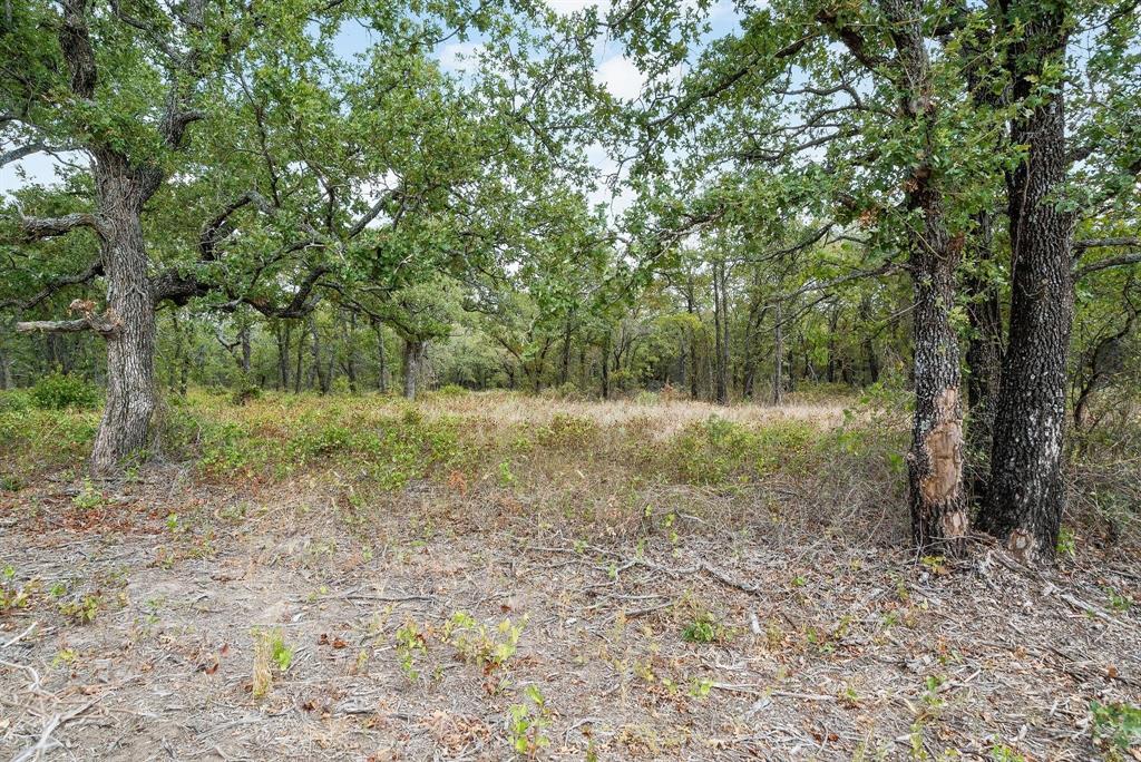 Double B Ranch - Land