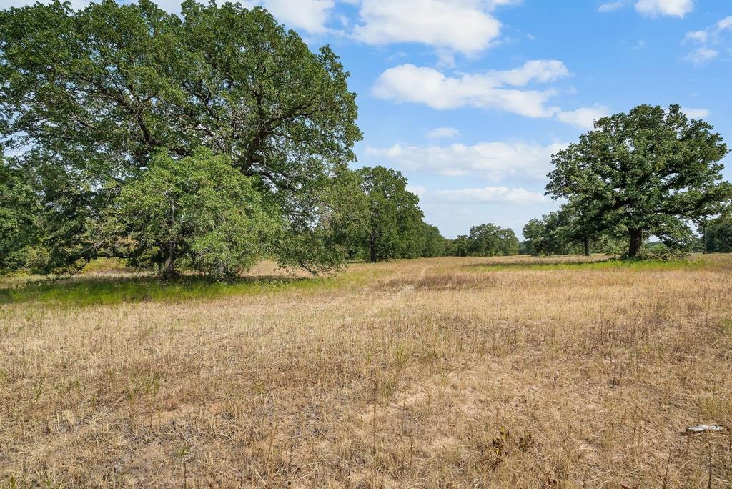 Double B Ranch - Land