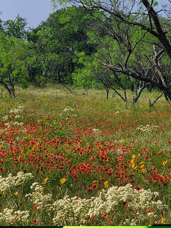 Gorman Ranches - Land