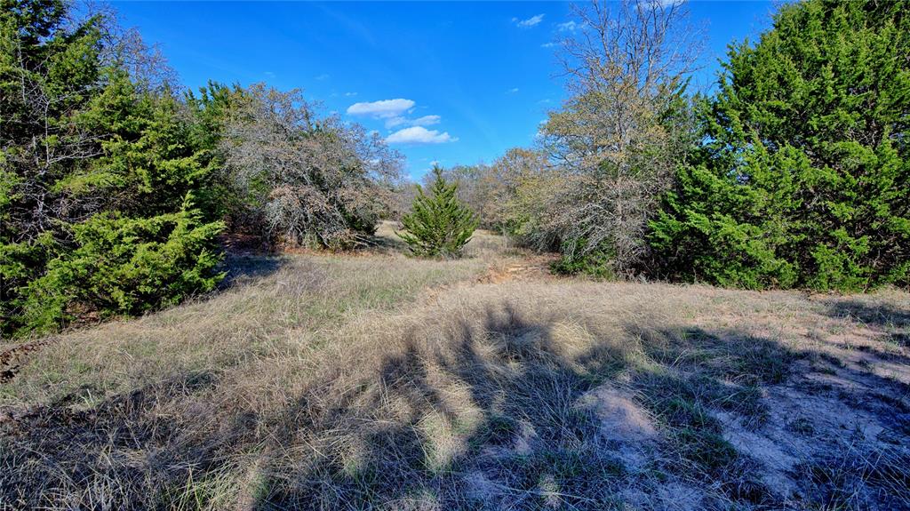 44.91 Acres, Block 105, Hill CSL Survey - Land