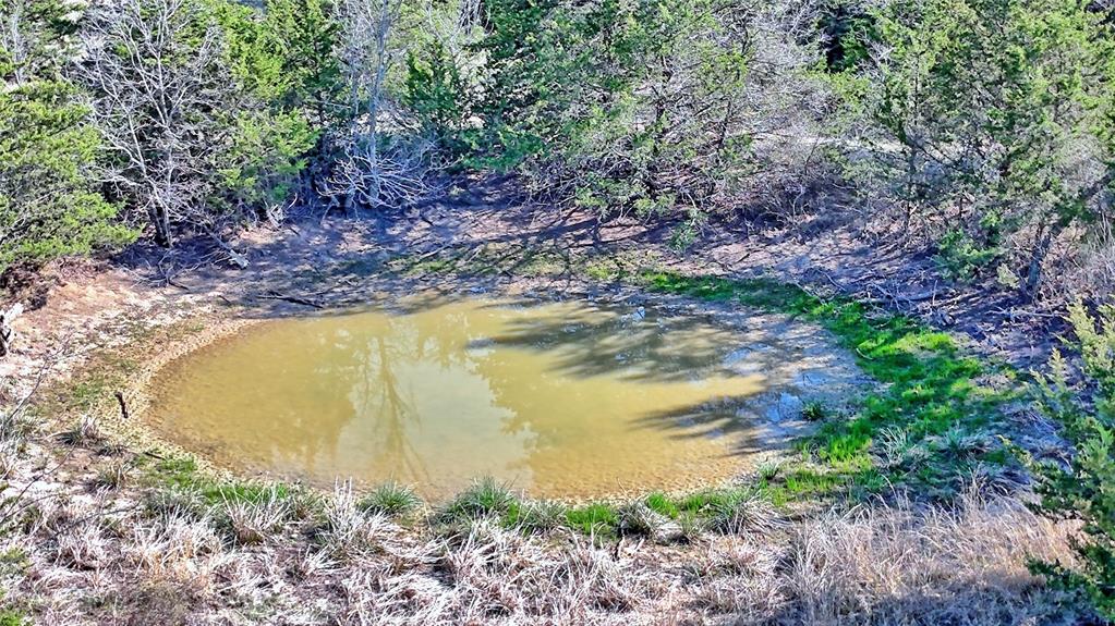 44.91 Acres, Block 105, Hill CSL Survey - Land