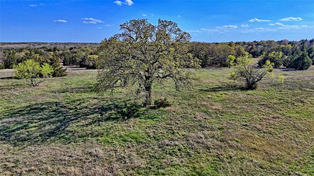44.91 Acres, Block 105, Hill CSL Survey - Land