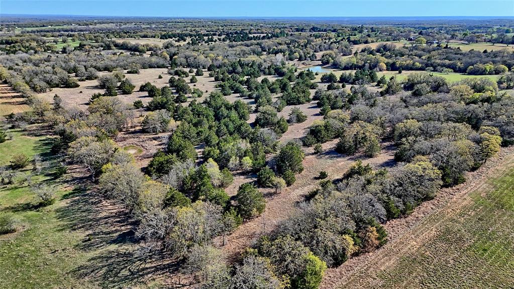 44.91 Acres, Block 105, Hill CSL Survey - Land