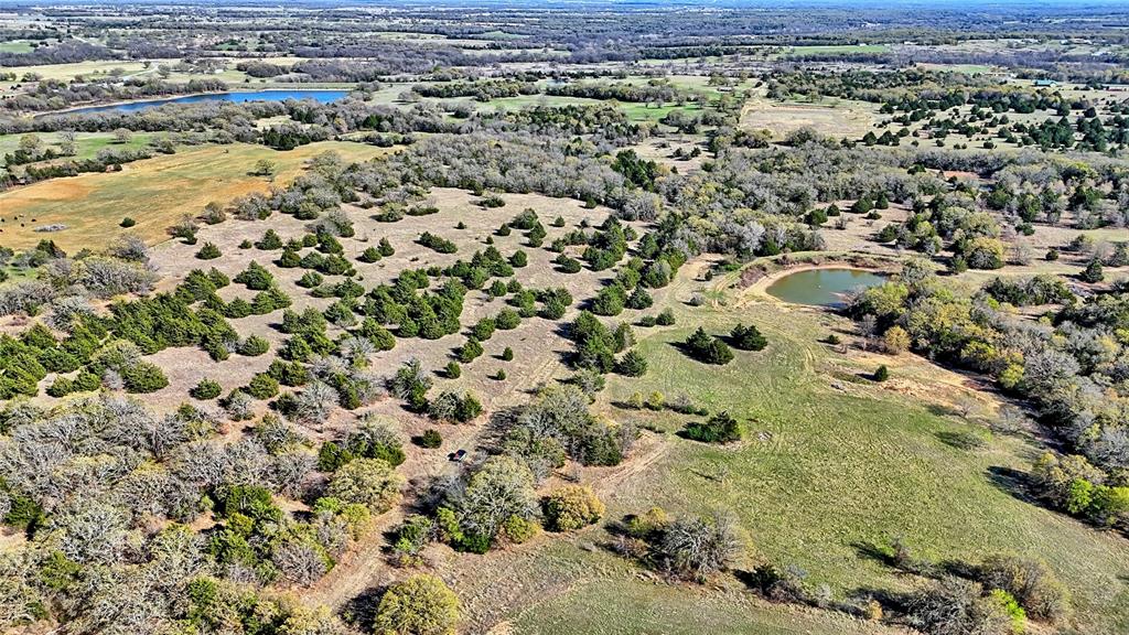 44.91 Acres, Block 105, Hill CSL Survey - Land
