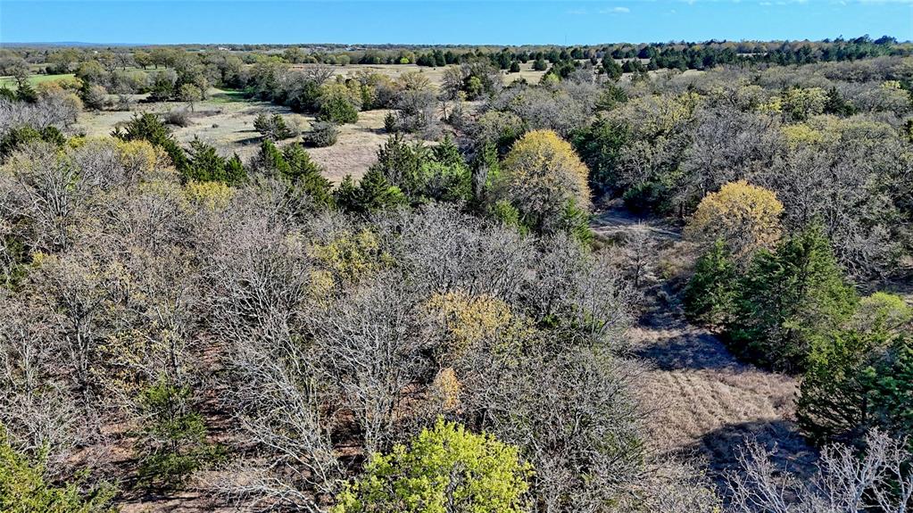 44.91 Acres, Block 105, Hill CSL Survey - Land