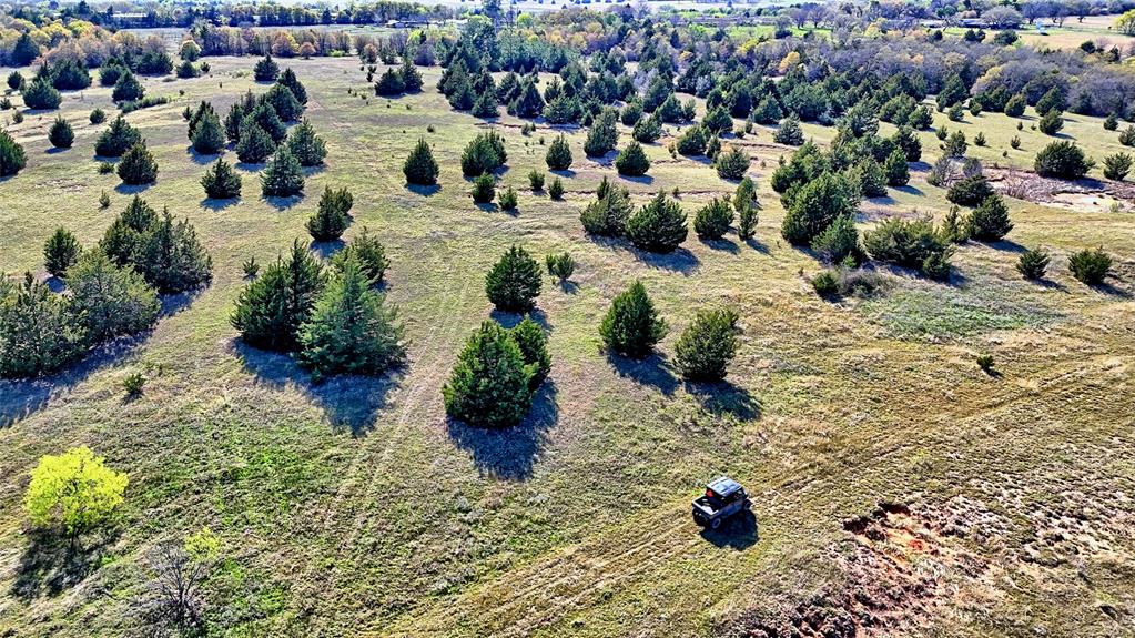 44.91 Acres, Block 105, Hill CSL Survey - Land